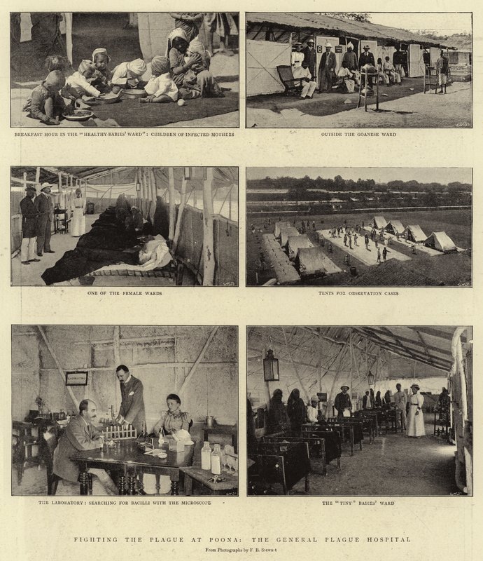 Küzdelem a pestis ellen Poonában, az Általános pestiskórházban alkotó: English Photographer
