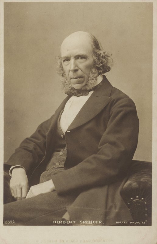 Herbert Spencer (1820-1903) angol filozófus, politikai teoretikus, biológus és szociológus alkotó: English Photographer