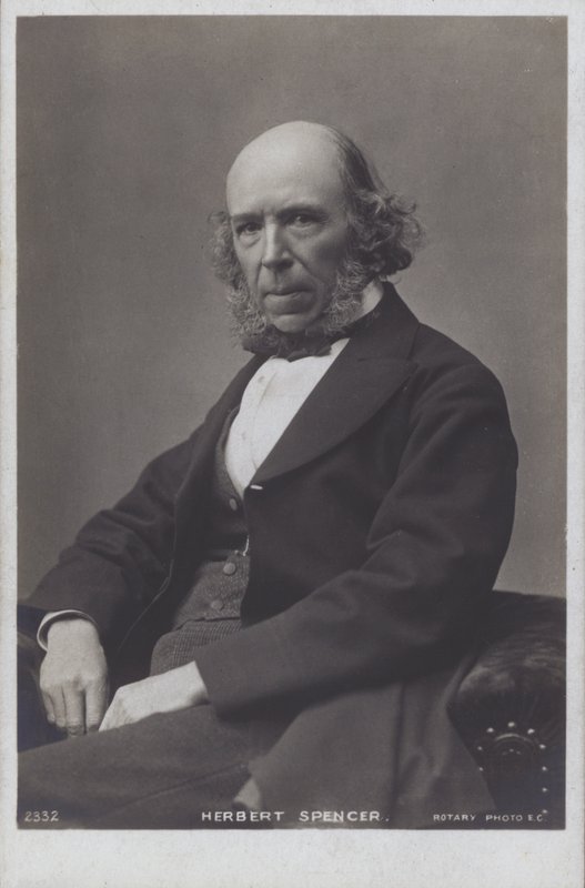 Herbert Spencer (fekete-fehér fotó) alkotó: English Photographer