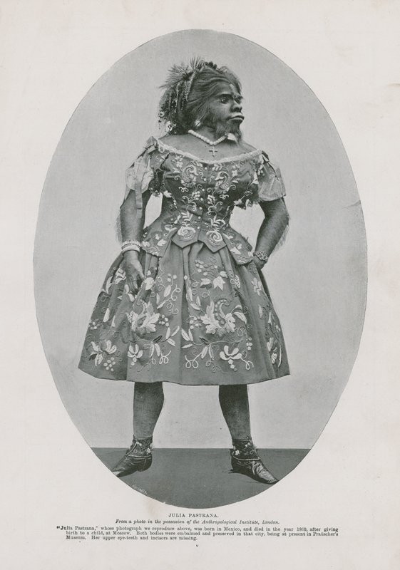 Julia Pastrana alkotó: English Photographer