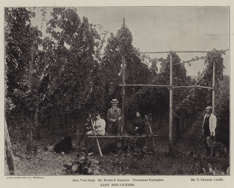 Lady Hop-Pickers alkotó: English Photographer