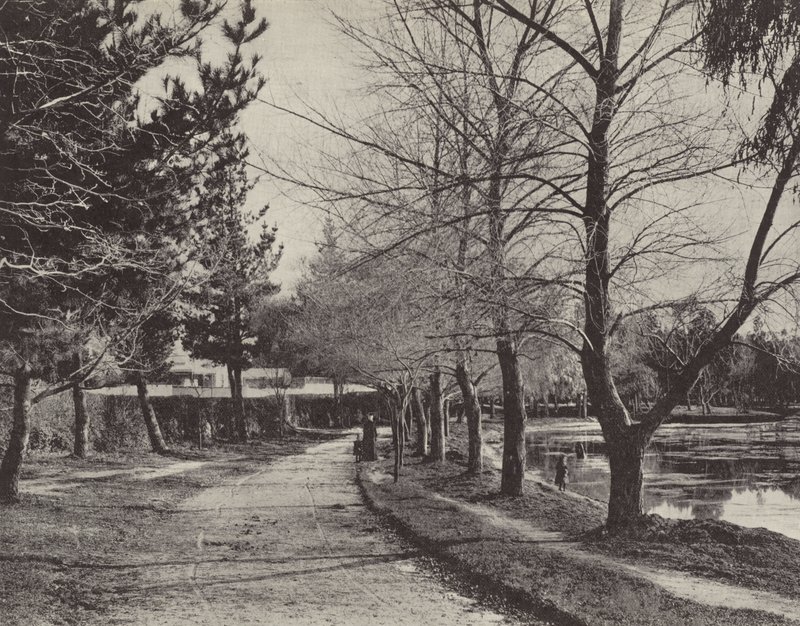 Wendouree-tó télen alkotó: English Photographer