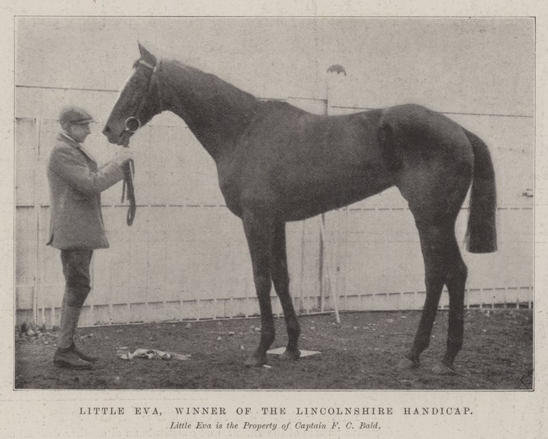 Kis Éva, a Lincolnshire Handicap győztese alkotó: English Photographer