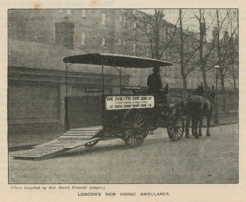 London új Horse Ambulance alkotó: English Photographer