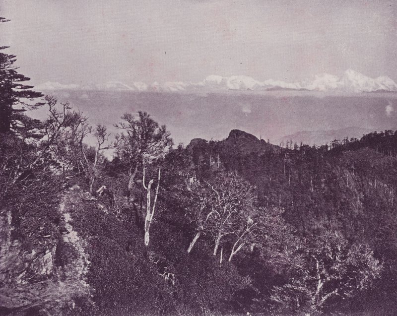 Mount Everest, Sandakphuból, Darjeelingből alkotó: English Photographer