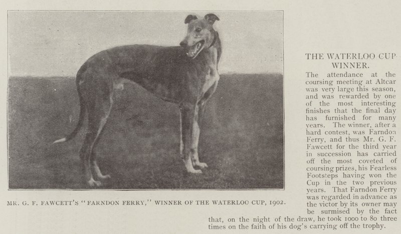 Mr G F Fawcetts Farndon Ferry, a Waterloo Kupa győztese, 1902 alkotó: English Photographer