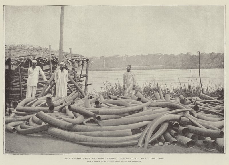 Mr H M Stanleys Emin Pasha segélyexpedíció, Tippoo Tibs Ivory Store Stanley Fallsban alkotó: English Photographer