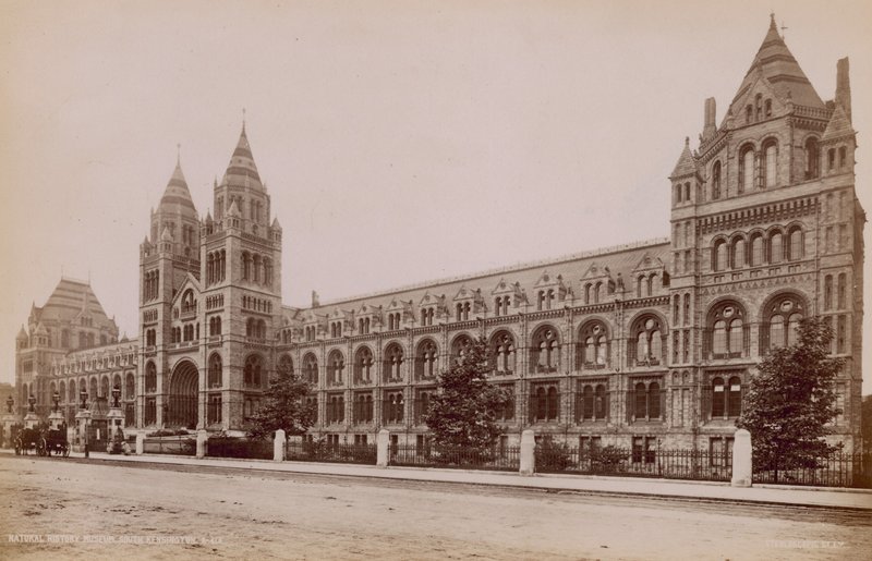 Természettudományi Múzeum, South Kensington, London alkotó: English Photographer