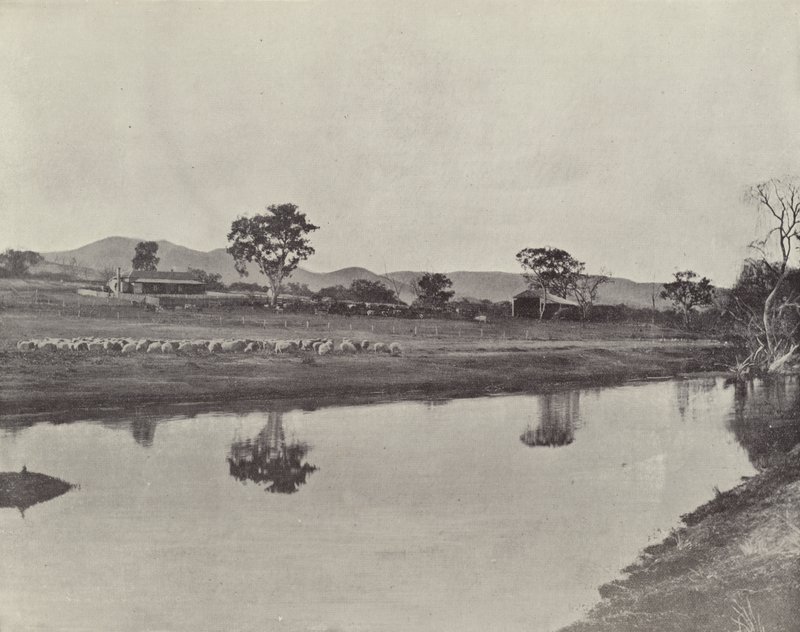 Nemengha állomás alkotó: English Photographer