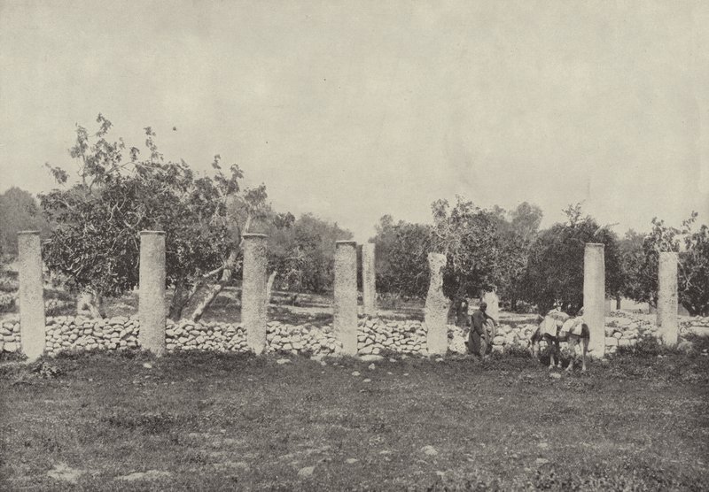 Heródes palota, Szamária, A palota maradványai, amelyet Heródes épített Augustus tiszteletére alkotó: English Photographer