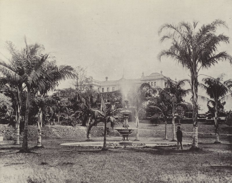 Pálmák és szökőkút, botanikus kert, Brisbane alkotó: English Photographer