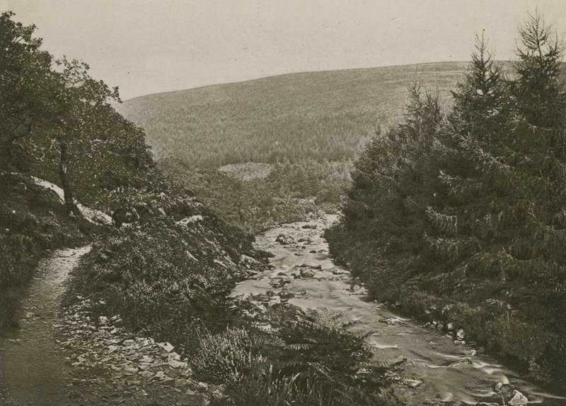 Út a Bagworthy Water mellett, Doone Valley alkotó: English Photographer
