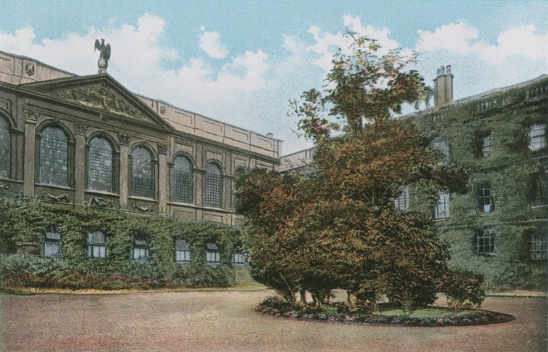 Queens College alkotó: English Photographer