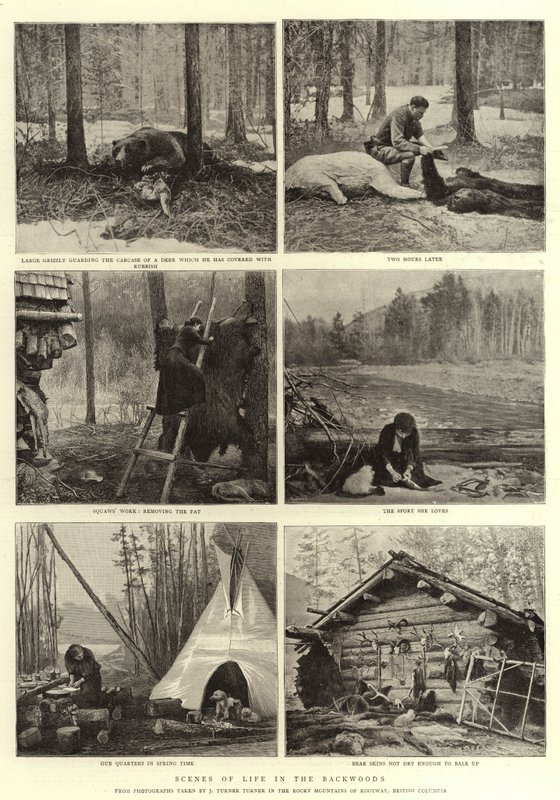 Életjelenetek a hátsó erdőben alkotó: English Photographer