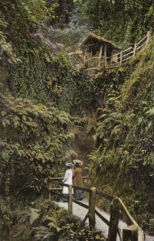 Shanklin Chine alkotó: English Photographer
