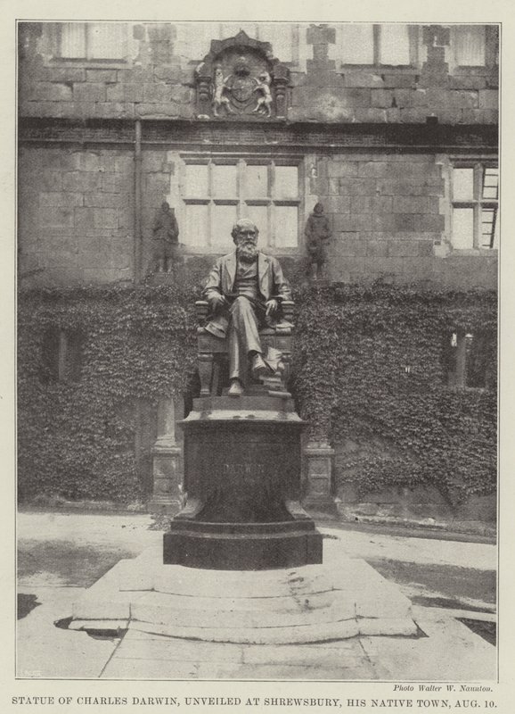Charles Darwin szobrát avatták fel Shrewsburyben, szülővárosában, augusztus 10-én alkotó: English Photographer