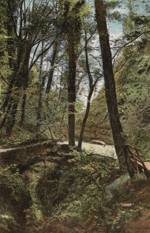 Kőhíd Shanklin Chine-ben alkotó: English Photographer