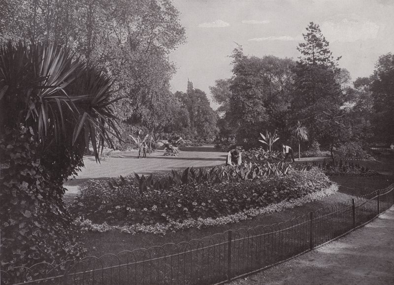 Szubtrópusi kertek, Battersea Park alkotó: English Photographer