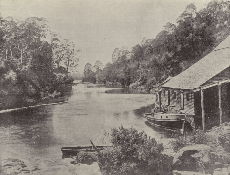Supply River, Tasmania alkotó: English Photographer