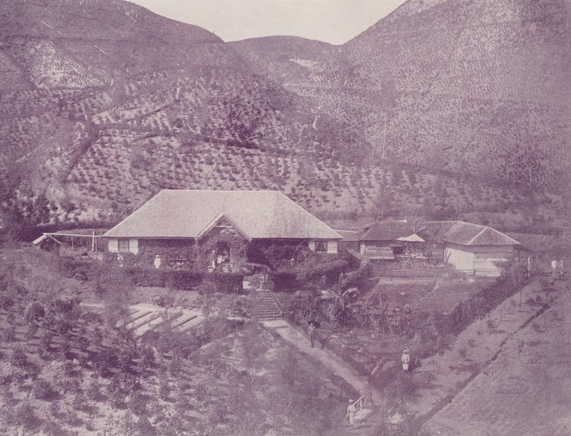 Teaültetvény, Ceylon alkotó: English Photographer