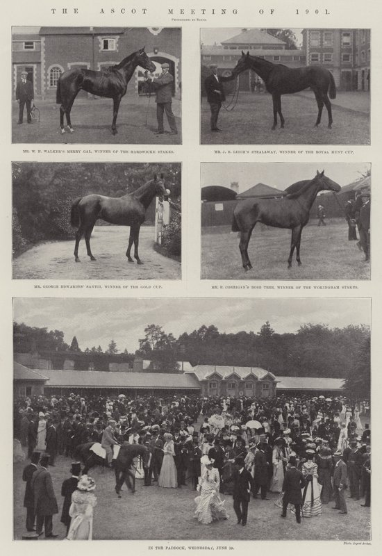Az 1901-es ascoti találkozó alkotó: English Photographer