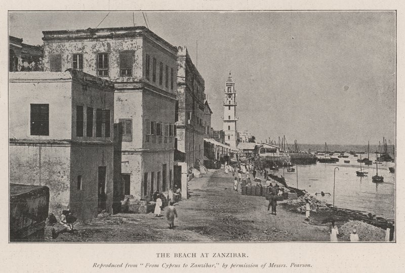 Zanzibár tengerpartja alkotó: English Photographer