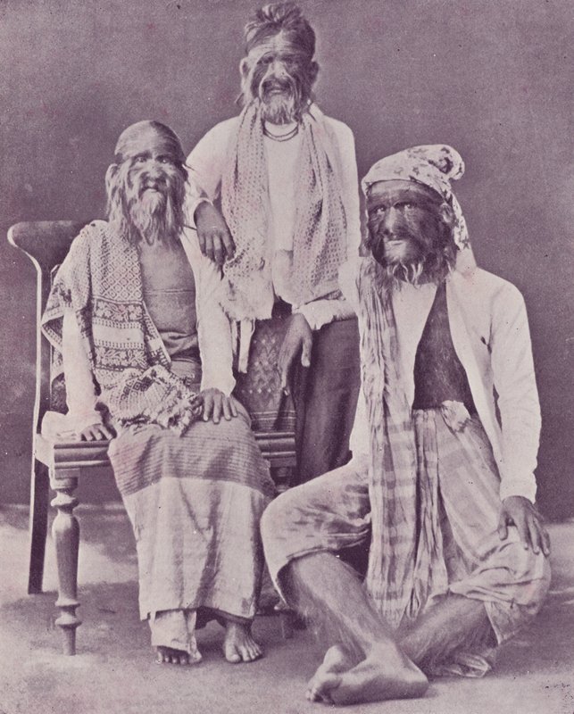 A burmai szőrös család alkotó: English Photographer