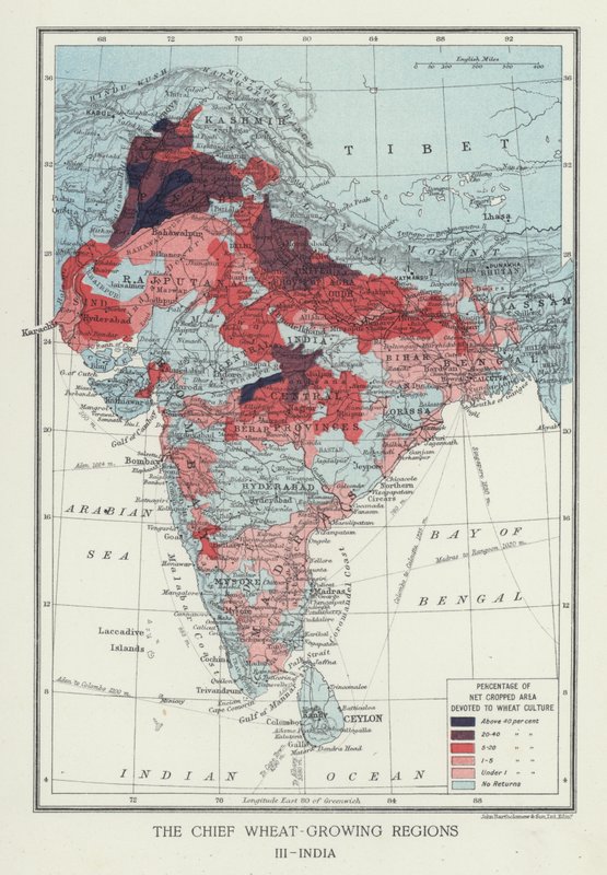 A fő búzatermesztő régiók, India (fotó) alkotó: English Photographer
