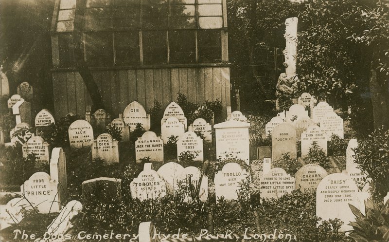 The Dogs Cemetery, Hyde Park, London alkotó: English Photographer