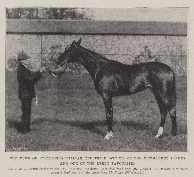 Portlands hercege, Vilmos Harmadik, a Newmarket Stakes győztese és a Derby egyik kedvence alkotó: English Photographer