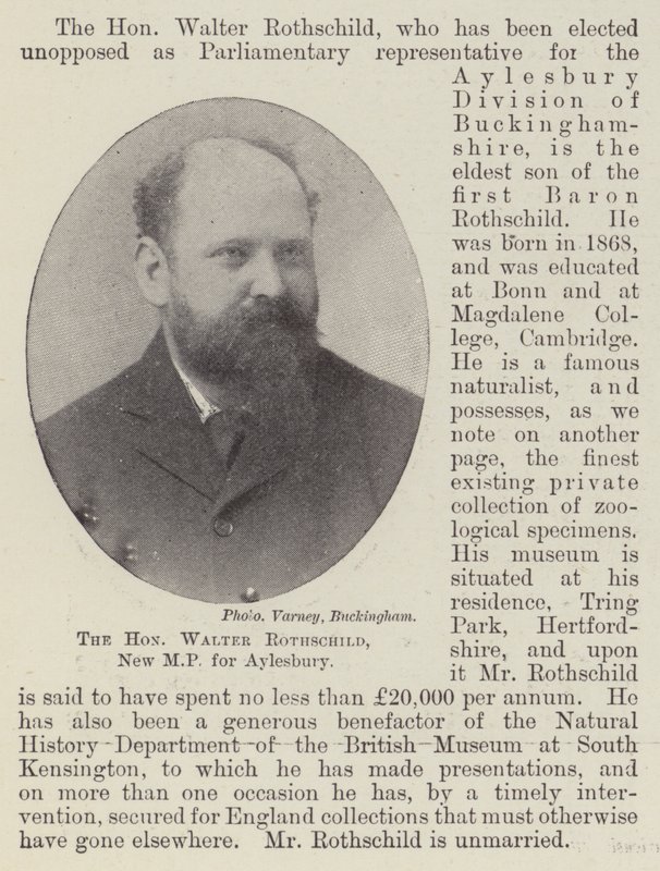 A tisztelt Walter Rothschild, Aylesbury új képviselője alkotó: English Photographer