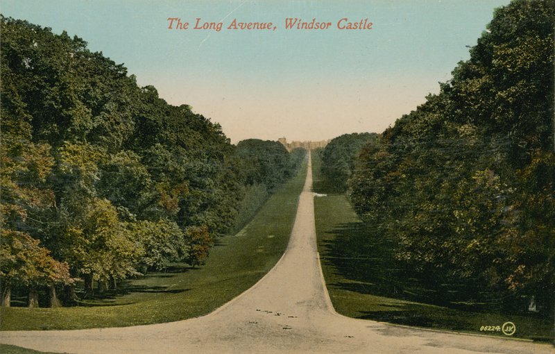 A Long Avenue, a windsori kastély Angliában. 1913-ban feladott képeslap. alkotó: English Photographer