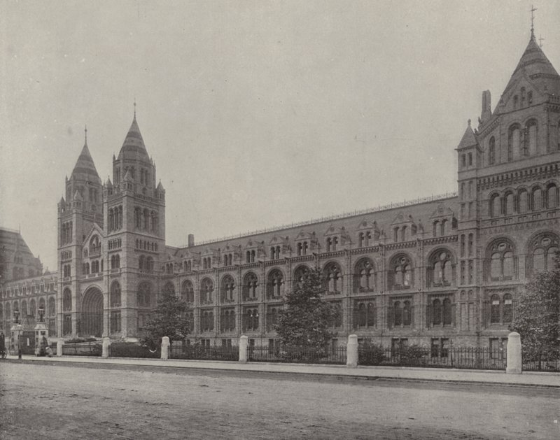 A Természettudományi Múzeum (fekete-fehér fotó) alkotó: English Photographer