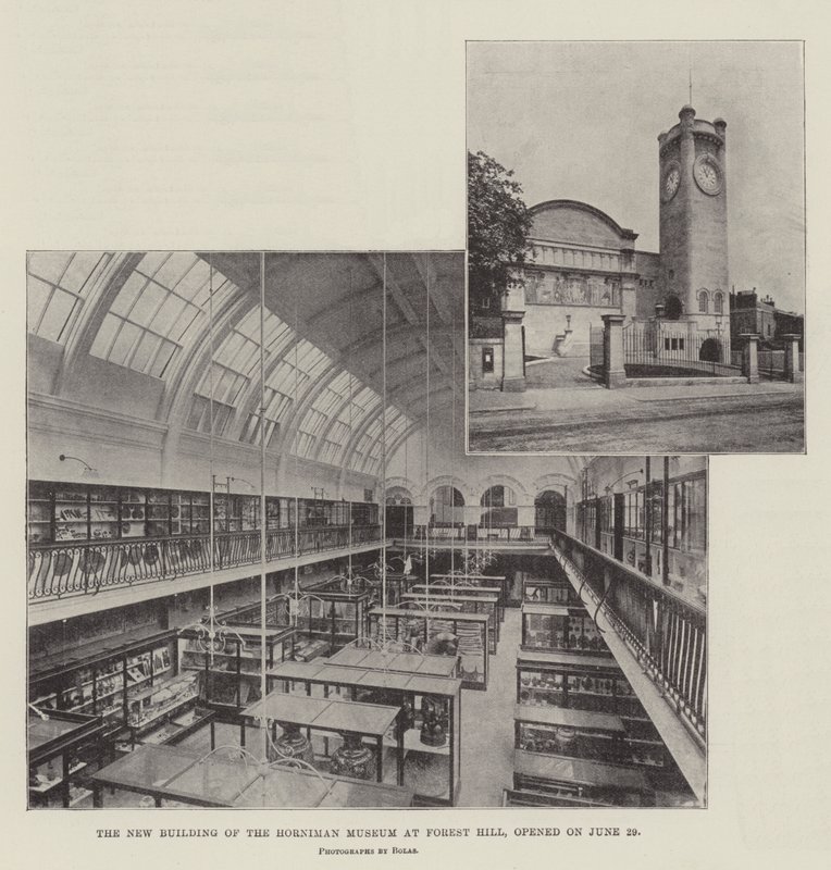 A Horniman Múzeum új épülete a Forest Hillben június 29-én nyílt meg alkotó: English Photographer