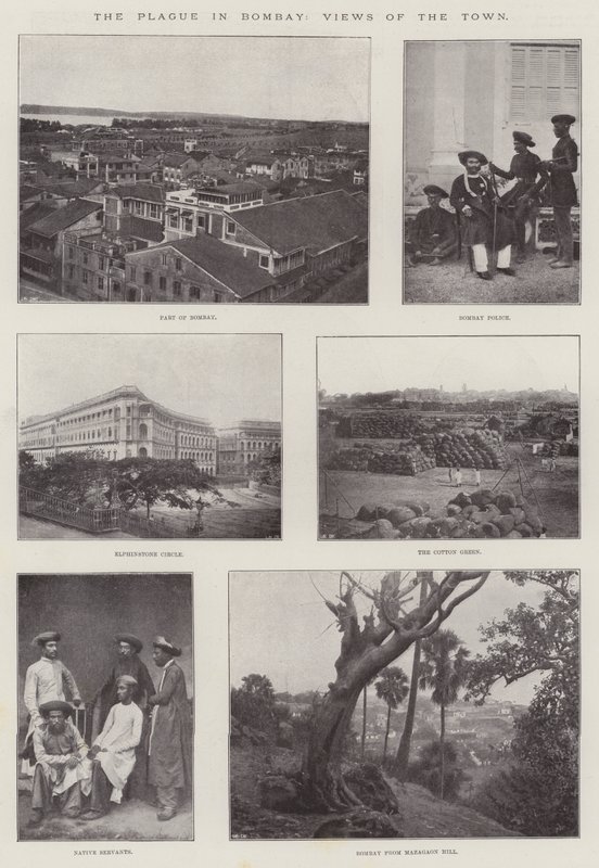 A pestis Bombayben, kilátás a városra alkotó: English Photographer