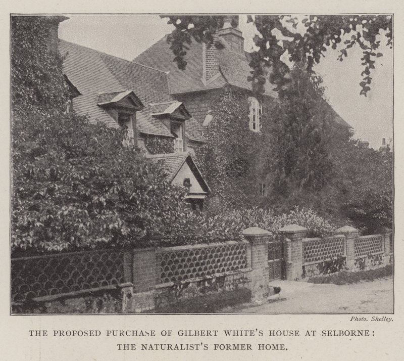 A Selborne-i Gilbert Whites-ház tervezett megvásárlása, a Naturalists korábbi otthona alkotó: English Photographer