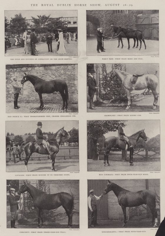 A Royal Dublin Horse Show, augusztus 26-29 alkotó: English Photographer