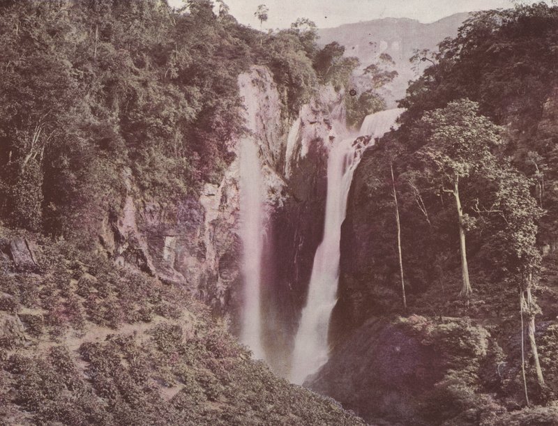 The Twin Falls (előtérben nő a kávé), Ceylon (színes fotó) alkotó: English Photographer