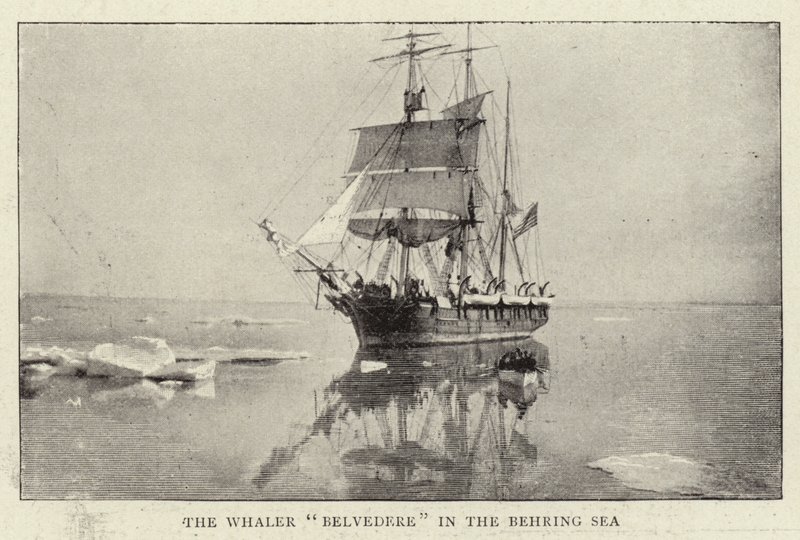 A Belvedere bálnavadász a Bering-tengeren alkotó: English Photographer