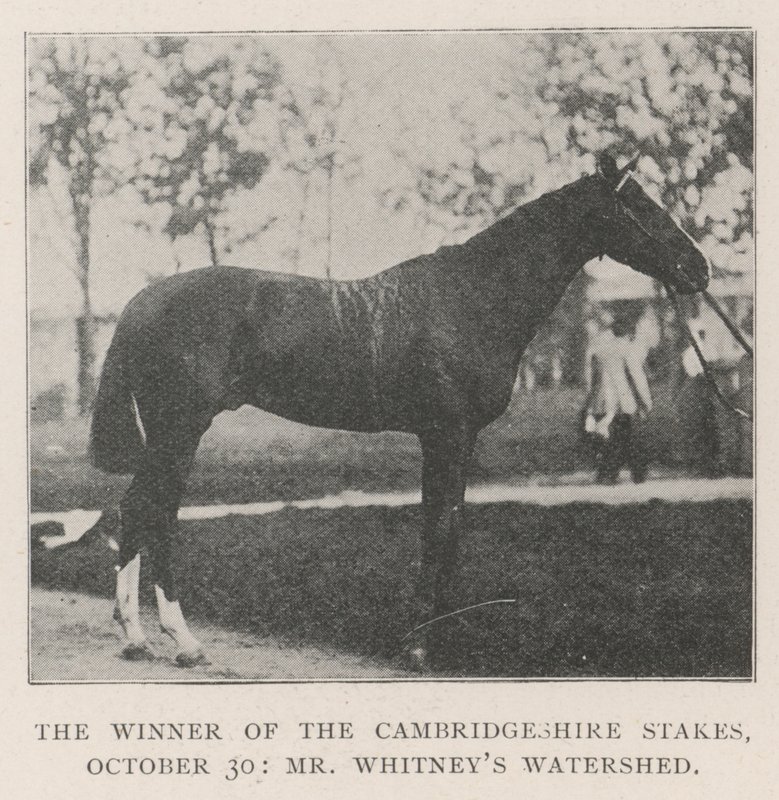 A Cambridgeshire-i tét győztese, október 30., Mr. Whitneys Watershed alkotó: English Photographer