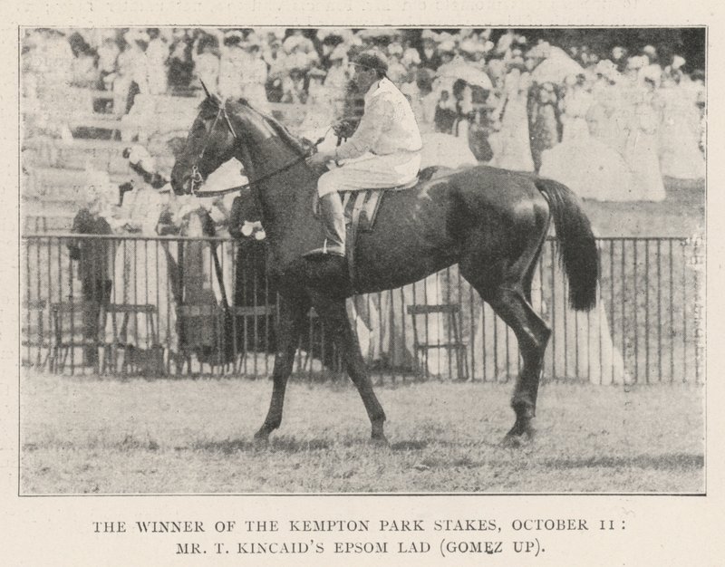 A Kempton Park Stakes győztese, október 11., Mr. T. Kincaids Epsom Lad (Gomez fel) alkotó: English Photographer