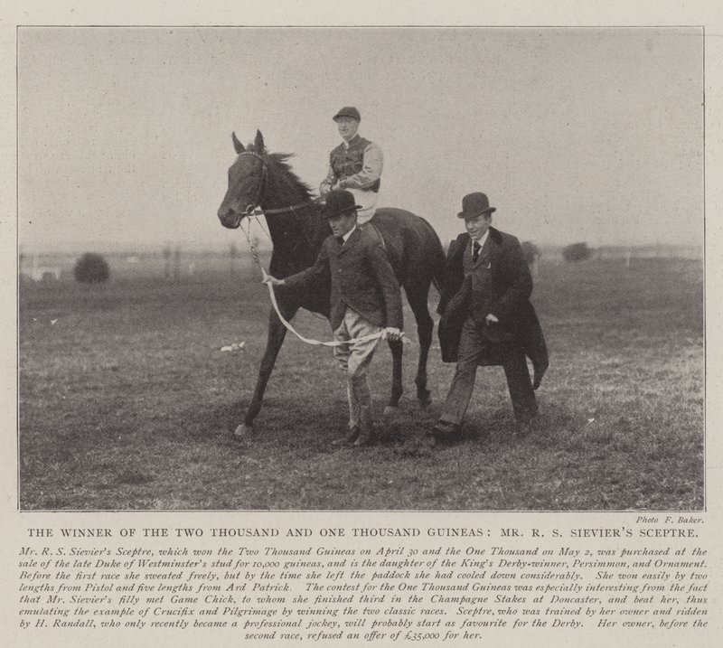 A kétezer-egyezer Guinea győztese, Mr. R. S. Sieviers Scepter alkotó: English Photographer