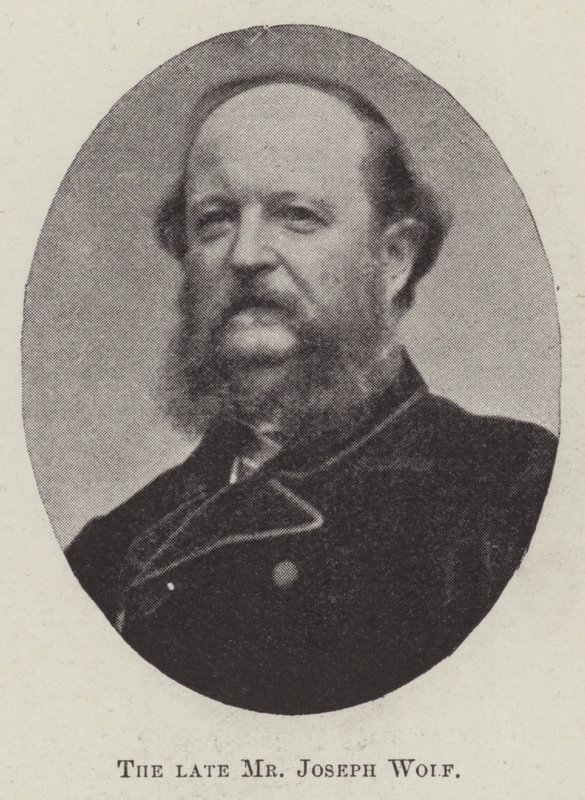 A néhai Wolf József úr alkotó: English Photographer