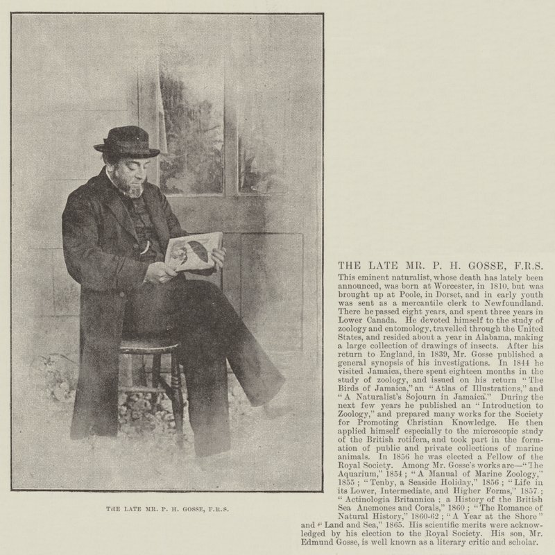A néhai P H Gosse úr, FRS alkotó: English Photographer
