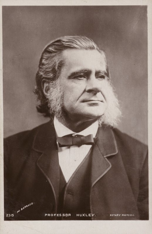 Thomas Henry Huxley (1825-1895, angol biológus alkotó: English Photographer