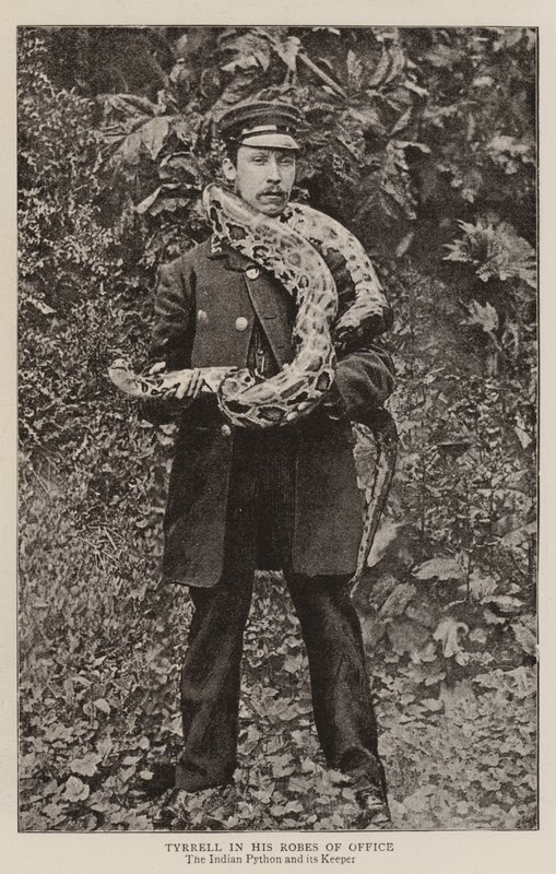 Tyrrell hivatali köntösében alkotó: English Photographer