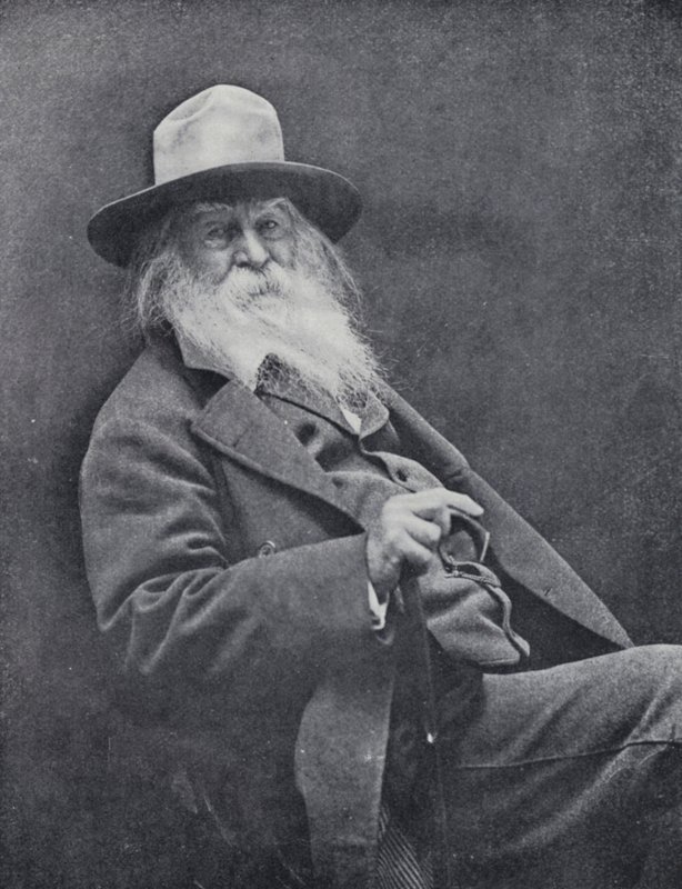 Walt Whitman (fekete-fehér fotó) alkotó: English Photographer