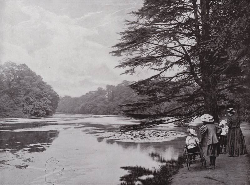 Wanstead Park alkotó: English Photographer