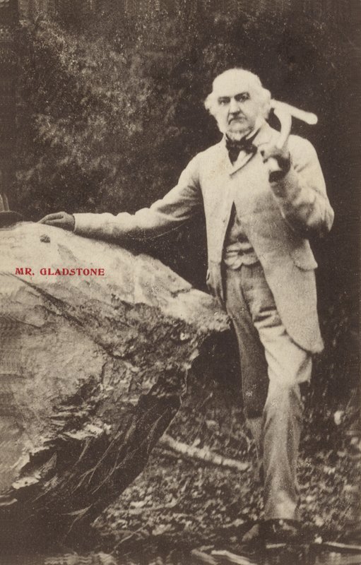 William Ewart Gladstone alkotó: English Photographer