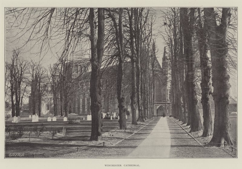 Winchester katedrális alkotó: English Photographer